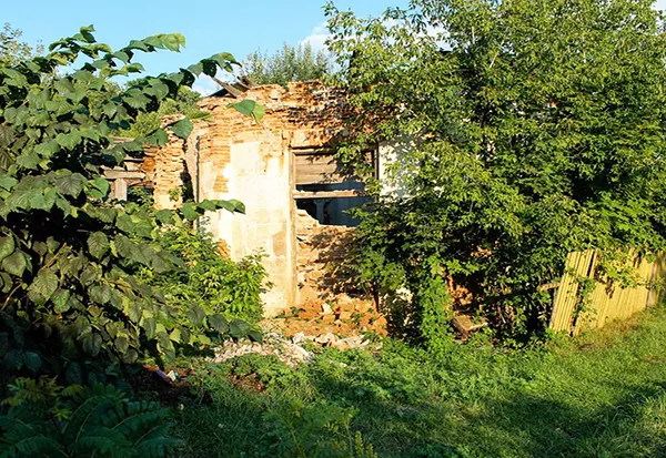 Радзивиллимонты
