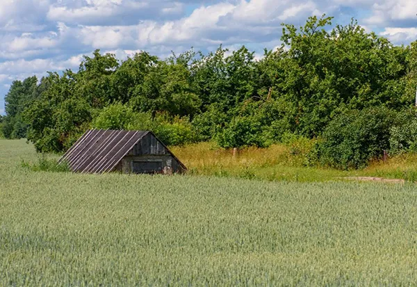 Камена