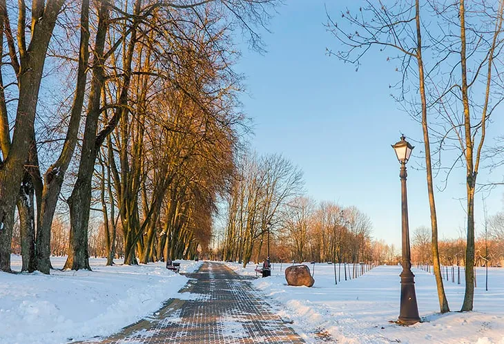 Прогулка по Лошицкому парку (Минск, Беларусь)
