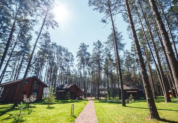 Отдых в загородном комплексе «Шишки»