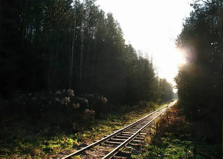 Узкоколейка в Беларуси