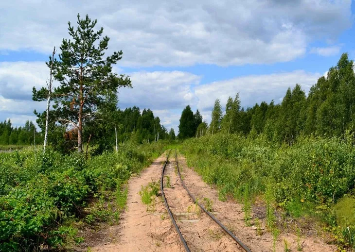 Узкоколейка в Беларуси