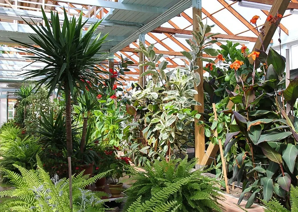 Абузерье агроусадьба2.jpg Абузерье агроусадьба2.jpg