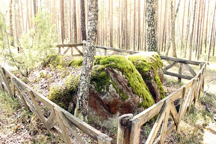 Валуны «Быки» в д. Берёзовщина
