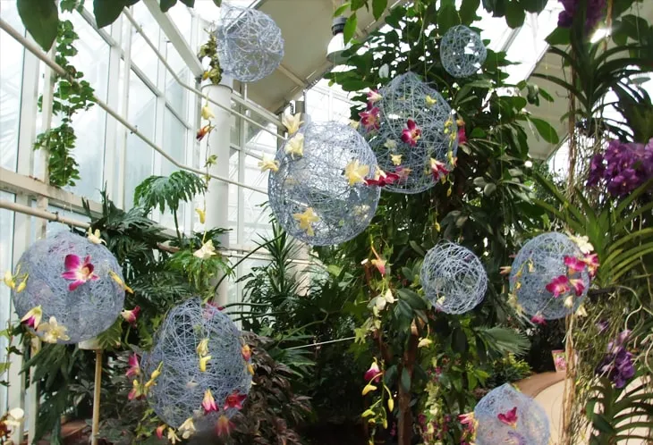 Оранжерея в Ботаническом саду Минска (Беларусь)