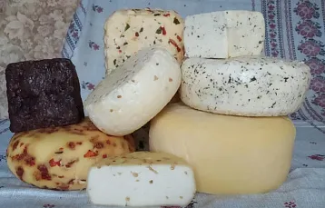 «Ecopit»