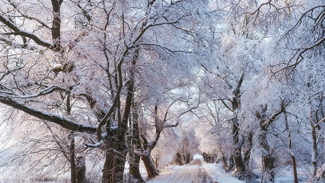 Слайдер--картинка-2