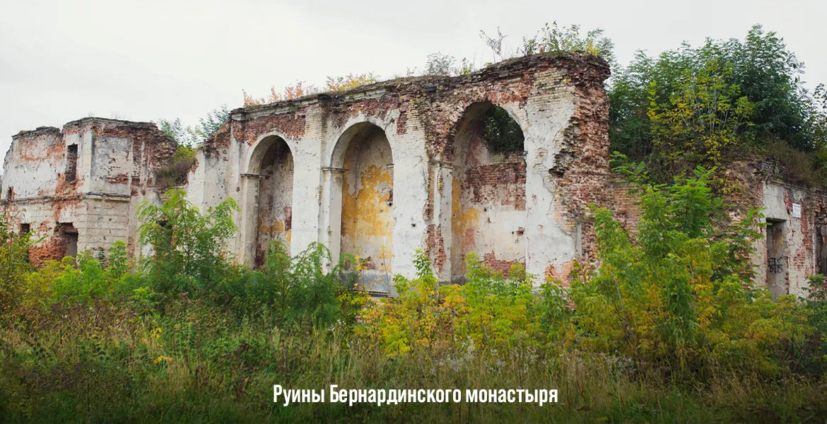 Слайдер--картинка-1