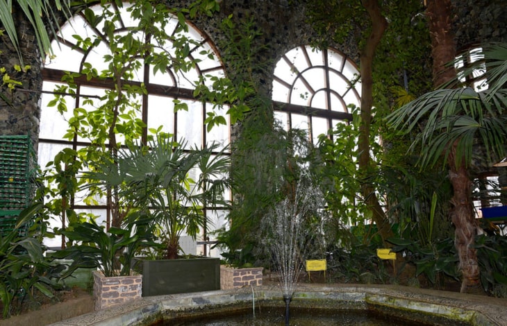 Зимний сад Гомельского дворцово-паркового ансамбля
