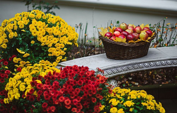 «Цветочный ноябрь» в Кронон Парк Отеле