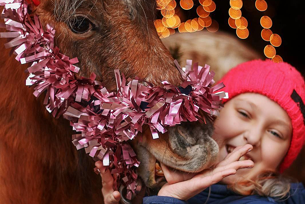 Этно-культурный туристический комплекс «Наносы Отдых»