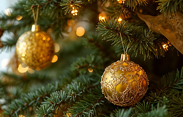 Корпоративы в агроусадьбе «Панский сад»: ваш незабываемый праздник