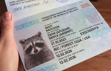 Американский пассажир стал белорусом: как енот Сеня обосновался в Барановичах