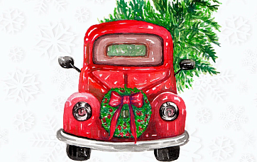 Ёлочный базар «Ёлки Топ»