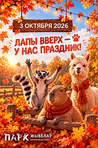 Парк Животных: «Лапы вверх!»