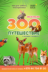 «ЗОО Путешествие» в Акварели