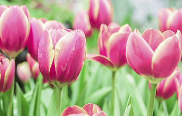 8 марта в «Акварели»: от пижамной вечеринки до испанского ужина