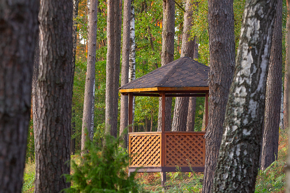 Пансионат «ЛОДЭ»