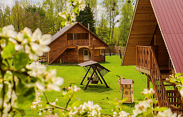 Агротуризм в Беларуси возвращает популярность: рост числа усадеб и гостей