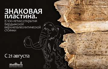 В Гомеле покажут уникальную бивневую пластину эпохи палеолита