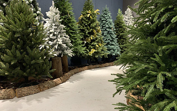 Шоу-рум «МегаМолл»