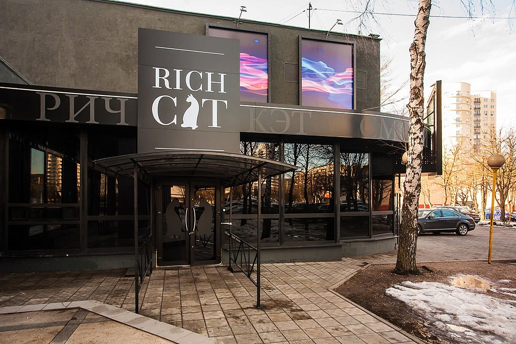 Ночной клуб «Rich Cat»