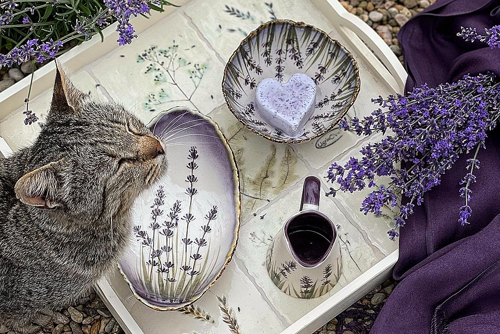 «Мастацкі дом Угрыновіч»