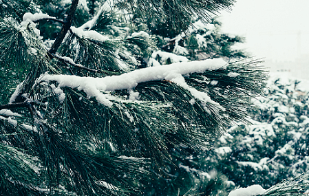 Лыжная трасса в Первомайском районе