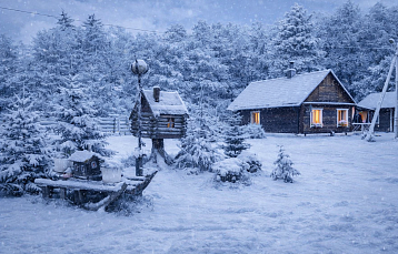 Агроусадьба «Магия леса»