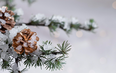 Пансионат «ЛОДЭ»