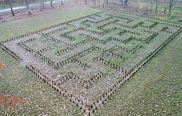 Зеленый лабиринт из почти 1500 туй в парке «Горни» под Лидой