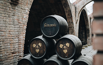 Испанская кава — напиток «по душе». Семь вопросов для бренд-амбассадора Codorniu