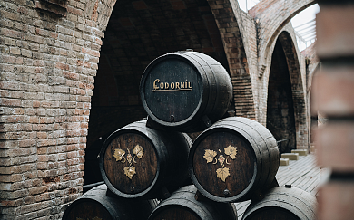 Испанская кава — напиток «по душе». Семь вопросов для бренд-амбассадора Codorniu