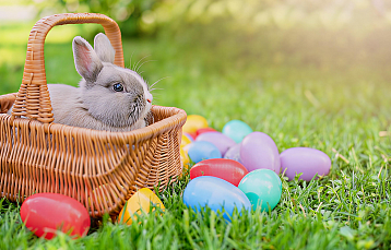 Пасхальный уикенд с мастер-классами и развлечениями на «Острове ЛОДЭ»