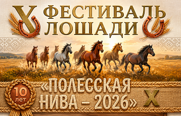 В Ремеле пройдет юбилейный фестиваль лошади «Полесская нива — 2026»