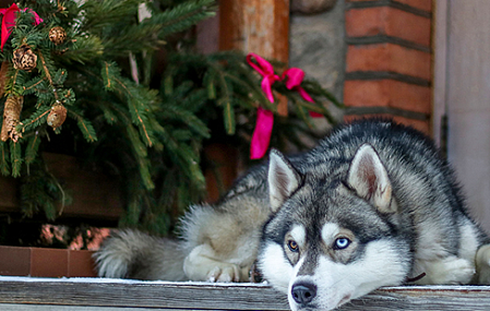 Этно-культурный туристический комплекс «Наносы Отдых»