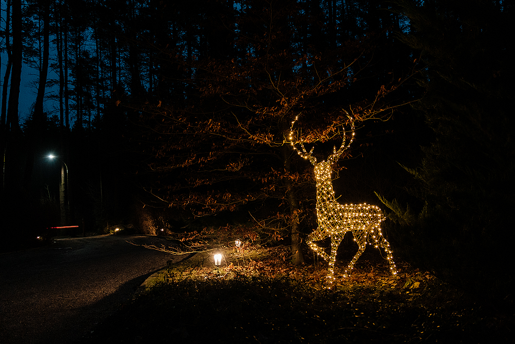 Кронон Парк Отель