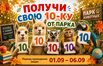 «10-ка» за смелость и прогулки с ламой: Парк животных дарит скидки и подарки школьникам