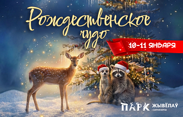 Ещё один повод собраться вместе: новогодняя сказка в Парке Животных