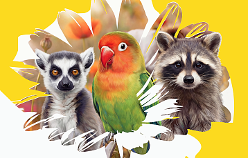 Апрель в Парке животных: игры, мастер-классы и пушистые друзья ждут вас