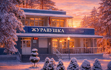 Санаторий «Журавушка»