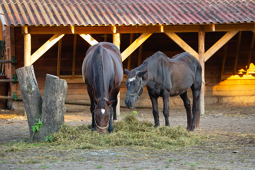 Пансионат «ЛОДЭ»