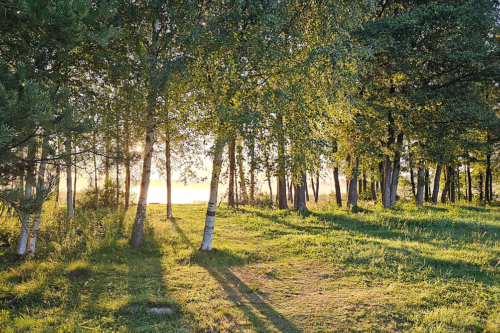 Усадебный комплекс «Hygge Lakes & Forest Club»