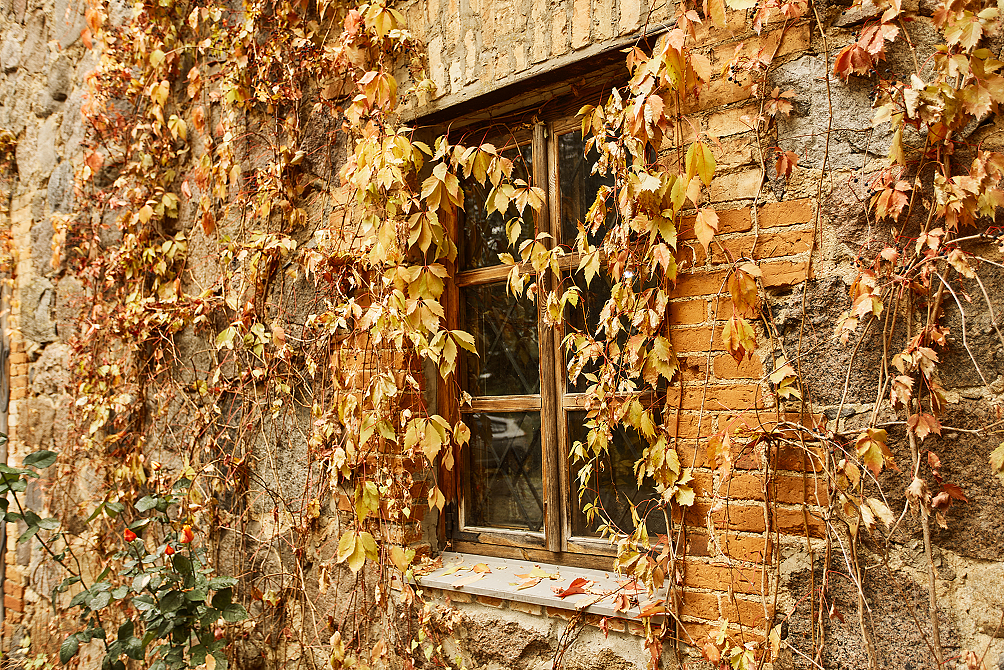 Туристический комплекс «Вольный мельник»