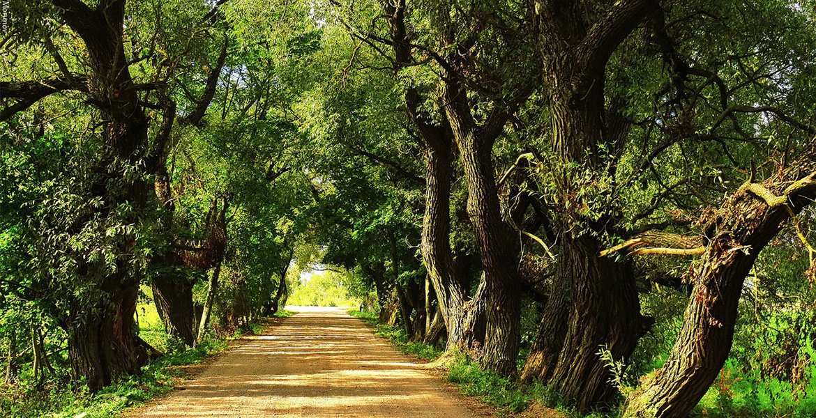 Слайдер--картинка-3