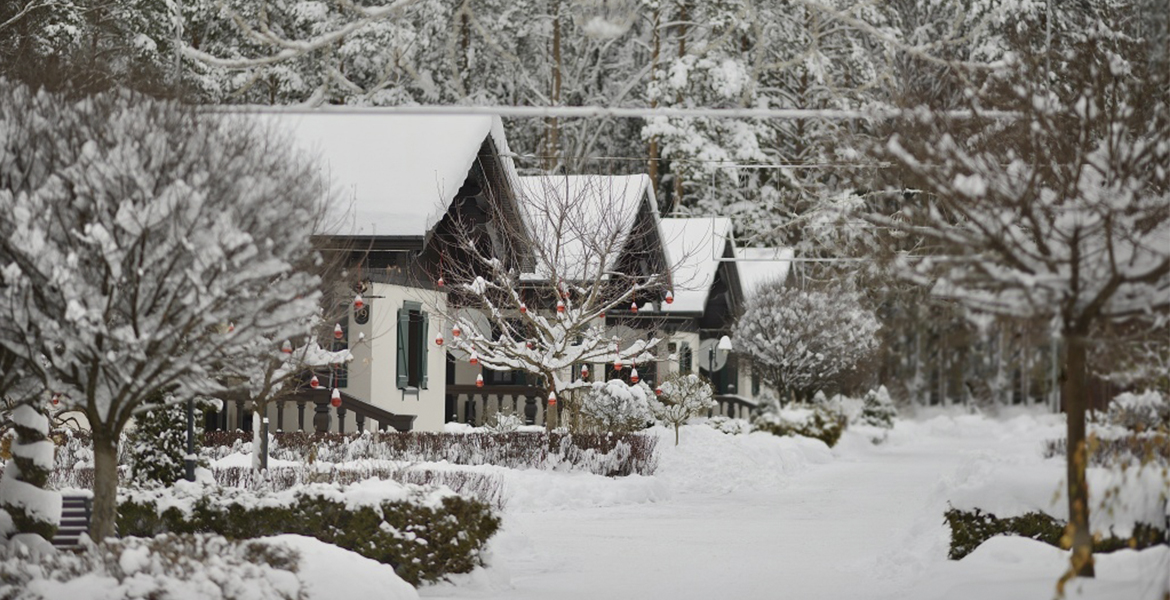 Слайдер--картинка-1