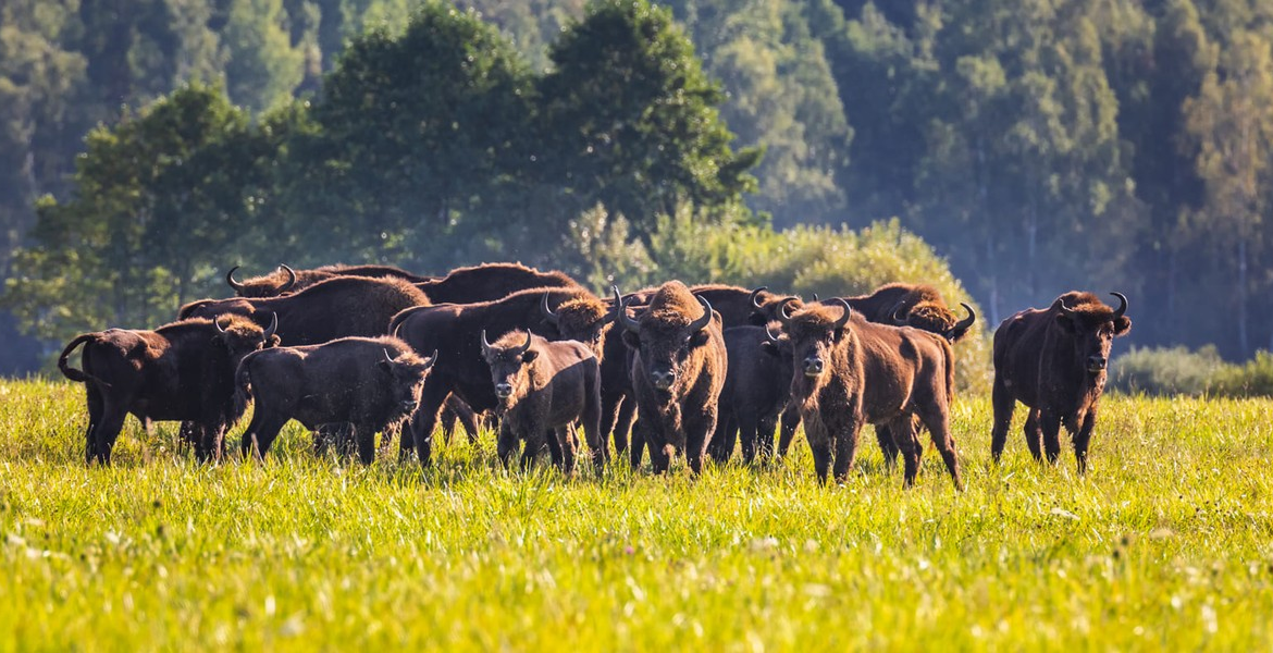 Слайдер--картинка-3