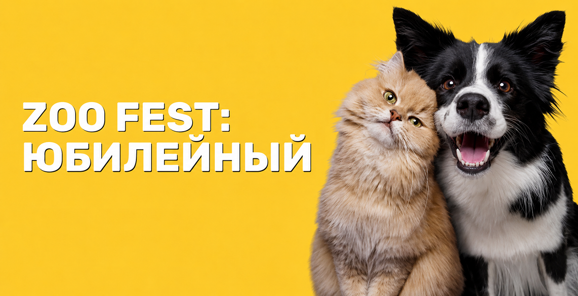Слайдер--картинка-1