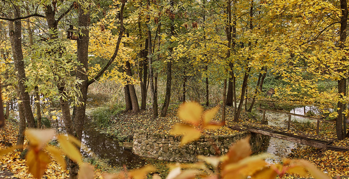 Слайдер--картинка-4