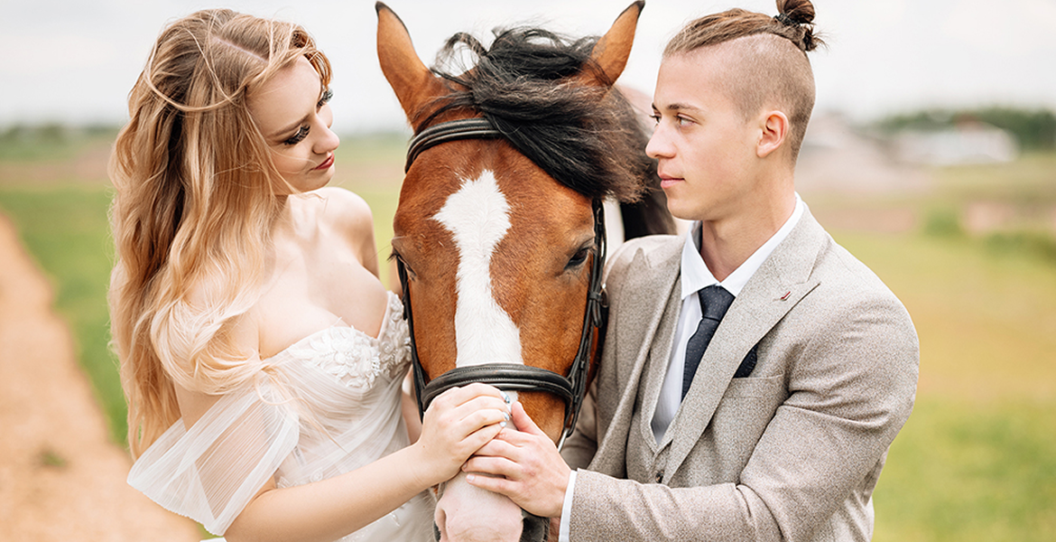 Слайдер--картинка-7